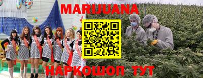 крисы Бердск