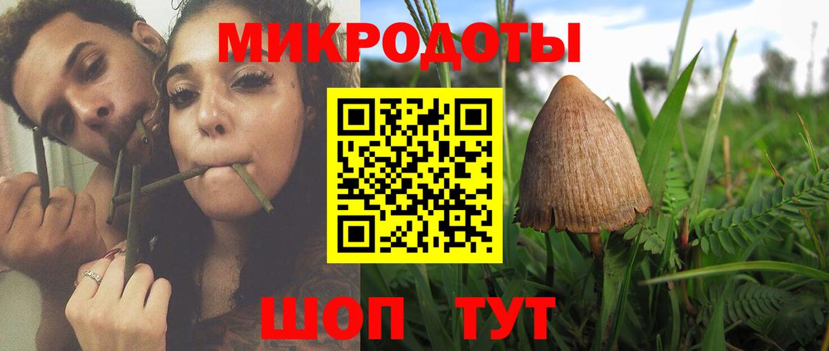Галлюциногенные грибы мухоморы  Вход с VPN  Прохладный 